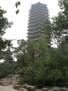 Beida UNI - Pagoda 2