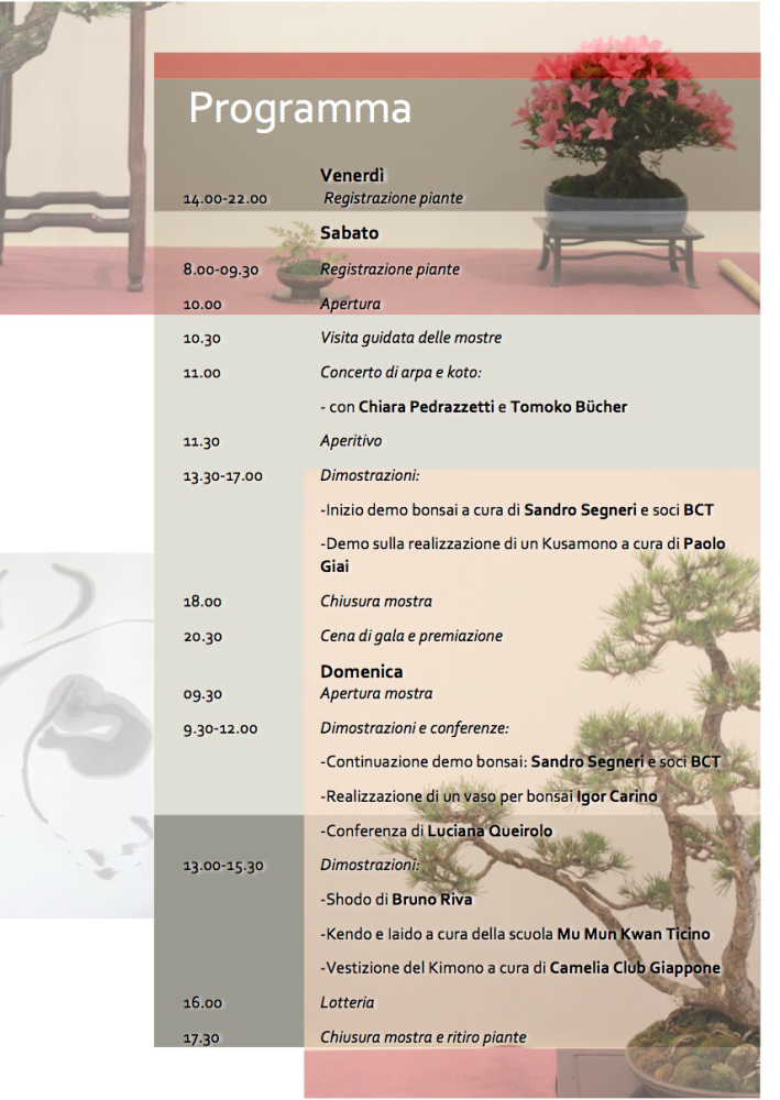 programma-bonsai-2013-3